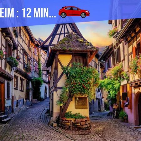Le Blue St Leon : 2 Pieces Cozy Lit King Size Wifi Apartment Colmar Bagian luar foto