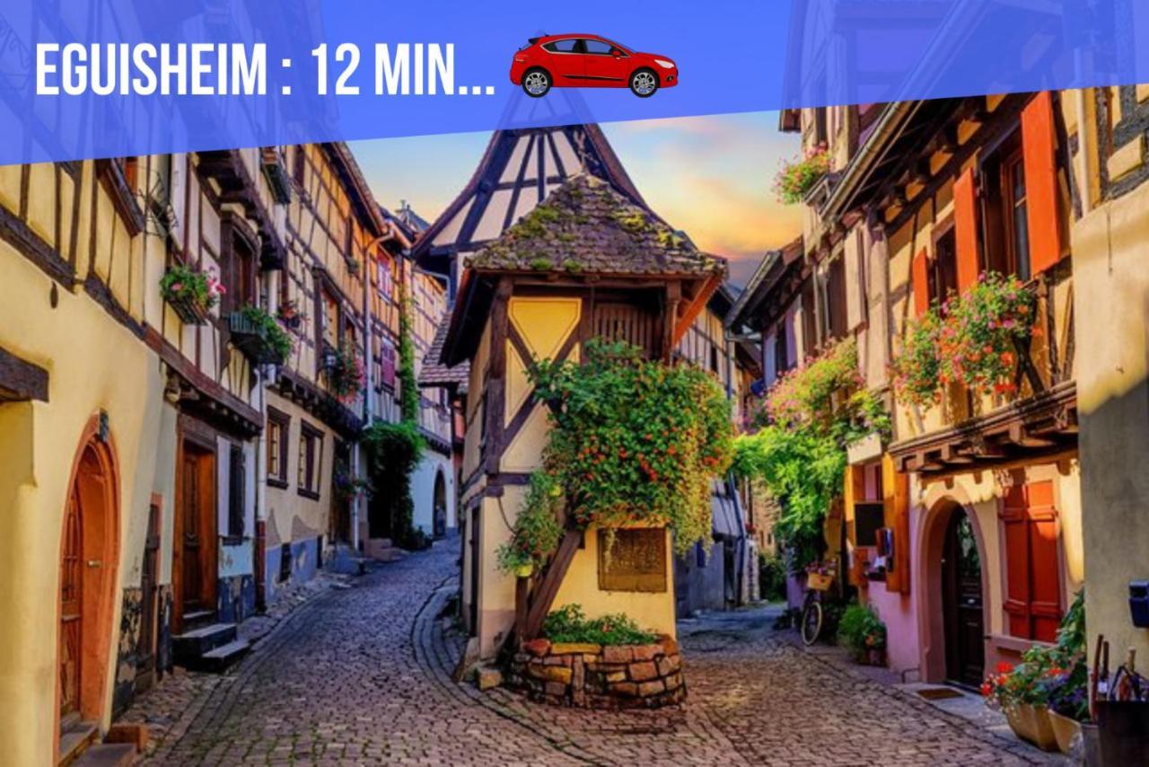 Le Blue St Leon : 2 Pieces Cozy Lit King Size Wifi Apartment Colmar Bagian luar foto