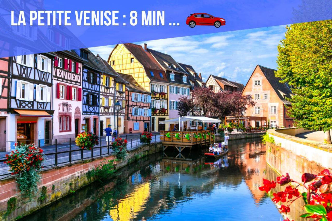 Le Blue St Leon : 2 Pieces Cozy Lit King Size Wifi Apartment Colmar Bagian luar foto