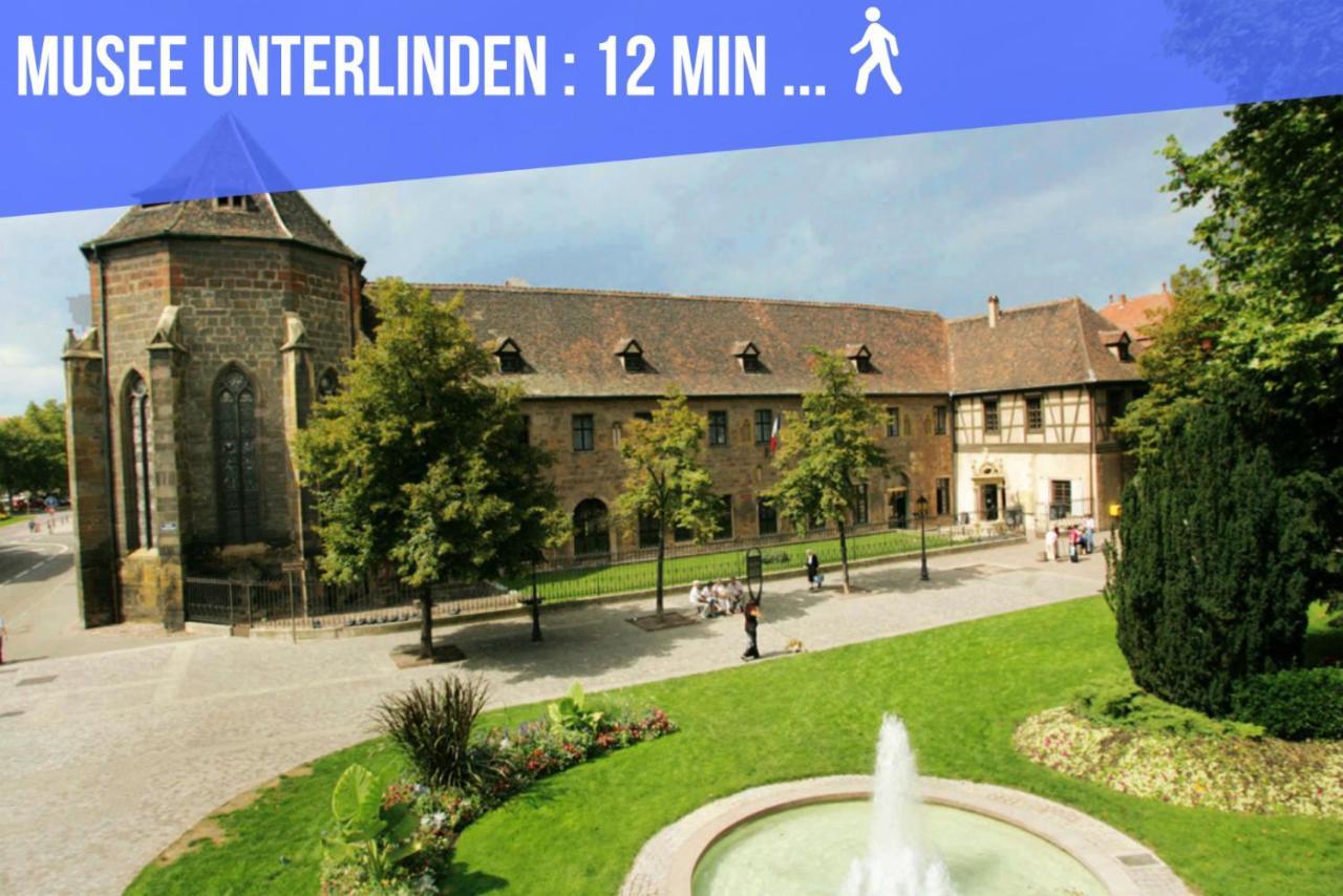 Le Blue St Leon : 2 Pieces Cozy Lit King Size Wifi Apartment Colmar Bagian luar foto