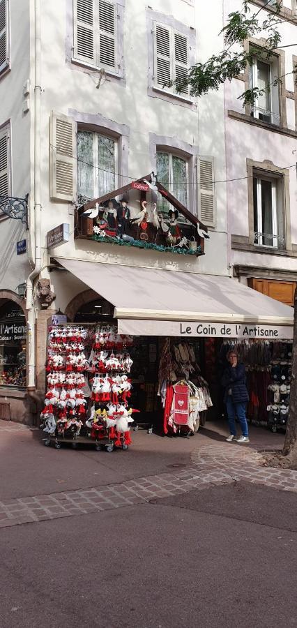 Le Blue St Leon : 2 Pieces Cozy Lit King Size Wifi Apartment Colmar Bagian luar foto