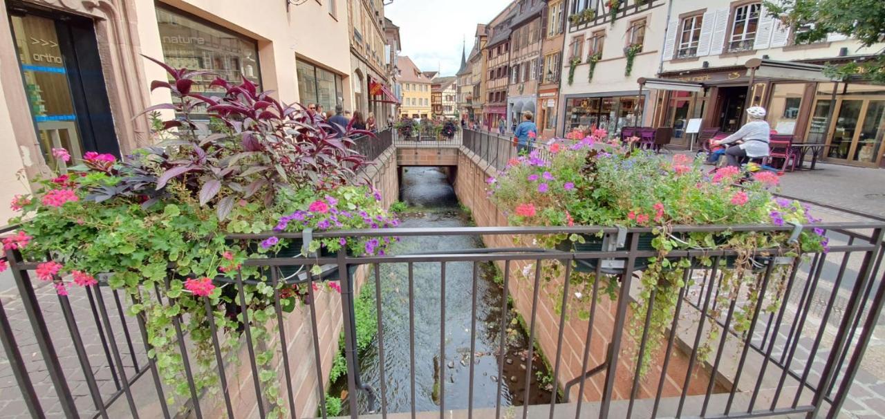 Le Blue St Leon : 2 Pieces Cozy Lit King Size Wifi Apartment Colmar Bagian luar foto