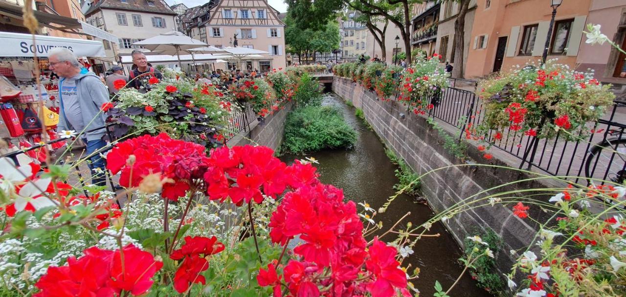 Le Blue St Leon : 2 Pieces Cozy Lit King Size Wifi Apartment Colmar Bagian luar foto