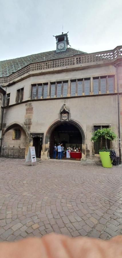 Le Blue St Leon : 2 Pieces Cozy Lit King Size Wifi Apartment Colmar Bagian luar foto