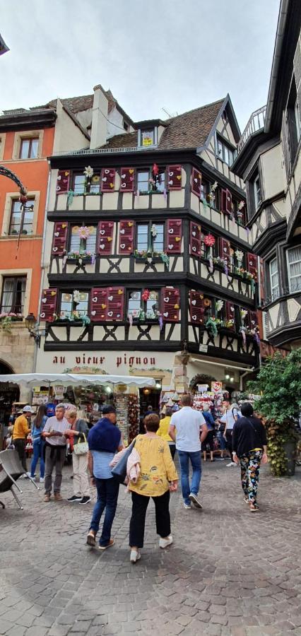 Le Blue St Leon : 2 Pieces Cozy Lit King Size Wifi Apartment Colmar Bagian luar foto
