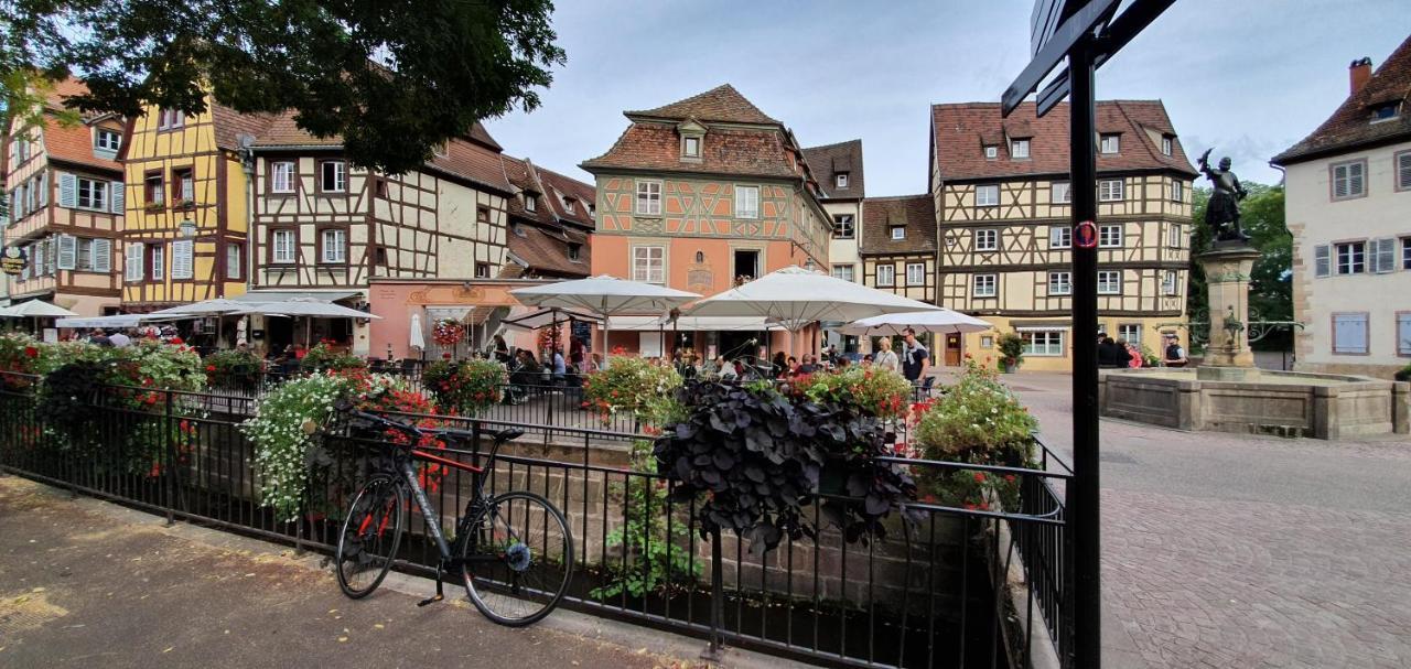 Le Blue St Leon : 2 Pieces Cozy Lit King Size Wifi Apartment Colmar Bagian luar foto